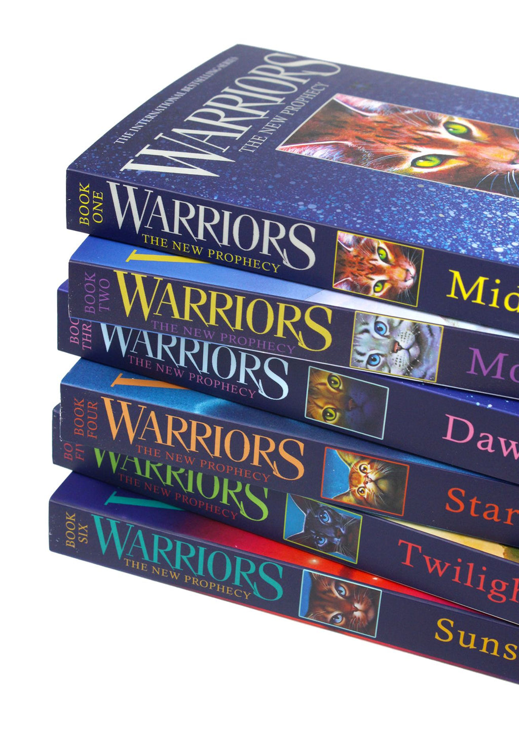 Warrior Cats Volume 1 to 12 Books Collection Set Paperback NEW