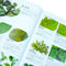 RHS Pests and Diseases: New Edition, Plant-by-plant Advice, Keep Your Produce and Plants Healthy