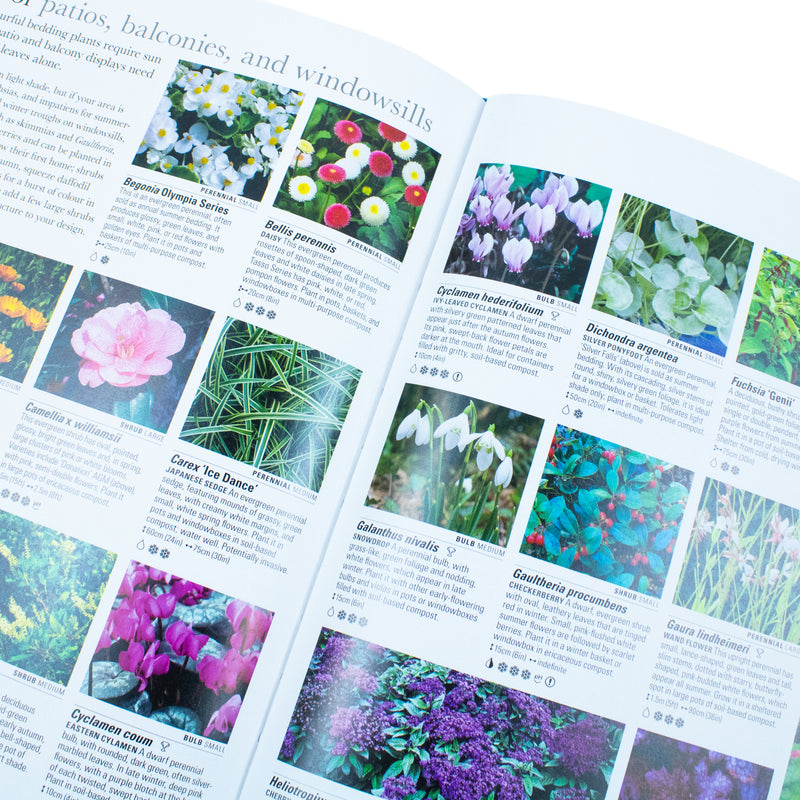 Discover RHS What Plant Where Encyclopedia - Essential Gardening Guide for 12+ Years - Explore Plants and Gardening Tips